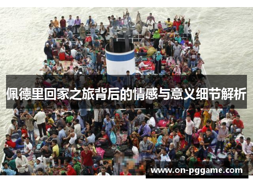 佩德里回家之旅背后的情感与意义细节解析