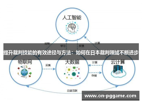 提升裁判技能的有效途径与方法：如何在日本裁判领域不断进步
