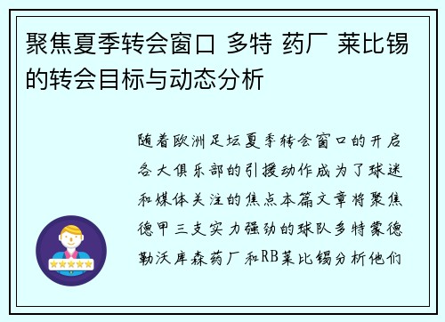 聚焦夏季转会窗口 多特 药厂 莱比锡的转会目标与动态分析