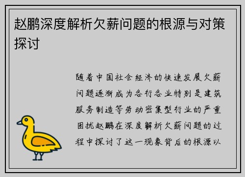 赵鹏深度解析欠薪问题的根源与对策探讨