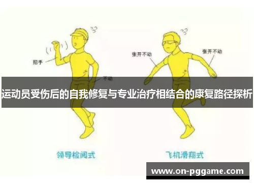 运动员受伤后的自我修复与专业治疗相结合的康复路径探析