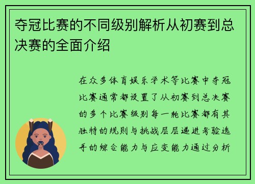 夺冠比赛的不同级别解析从初赛到总决赛的全面介绍