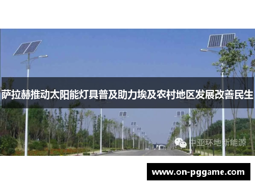 萨拉赫推动太阳能灯具普及助力埃及农村地区发展改善民生