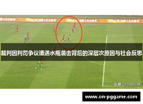 裁判因判罚争议遭遇水瓶袭击背后的深层次原因与社会反思